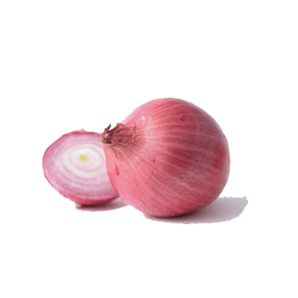 big-onion_1555584519 Big Onion